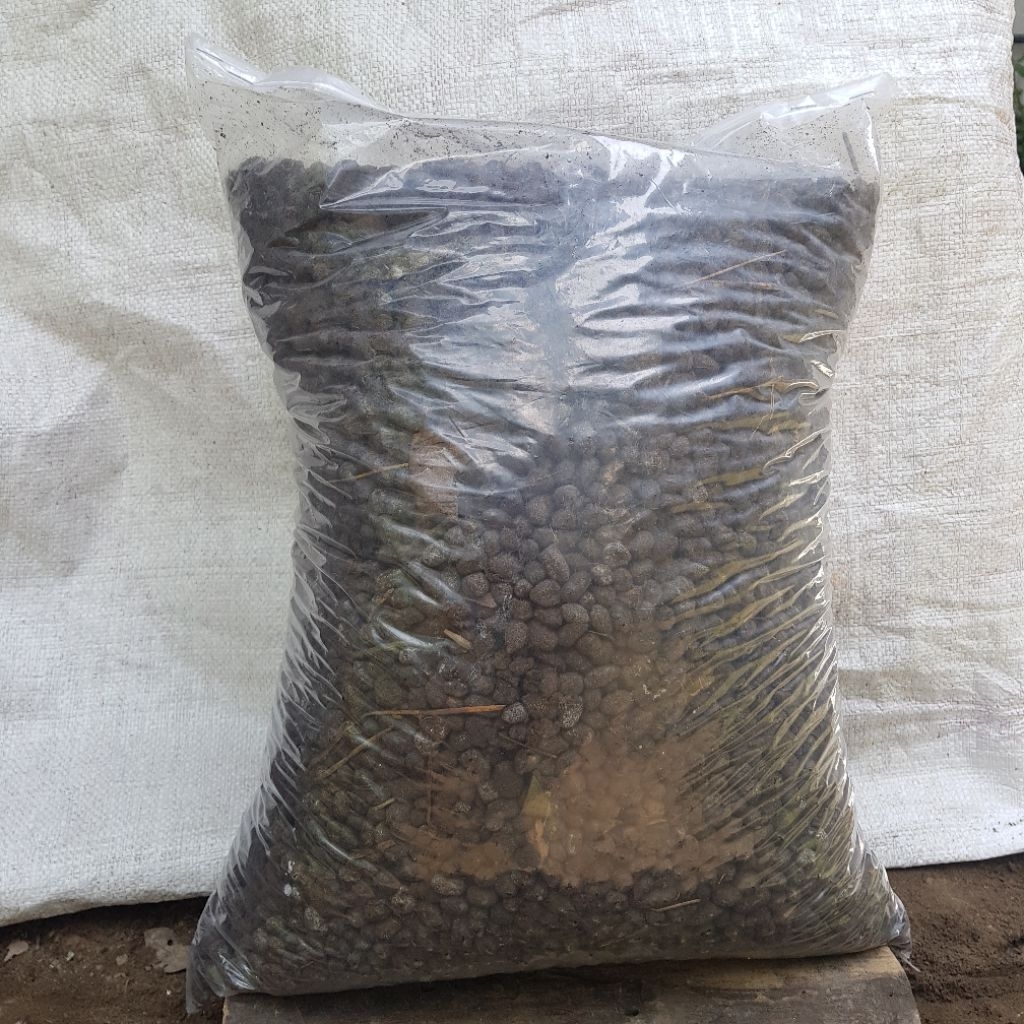 Kohe Srintil Kambing Butiran Kemasan 5 Literan