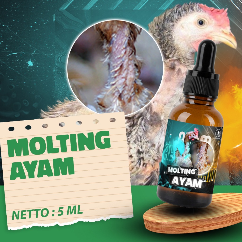 VITAMIN AYAM MABUNG | MENGATASI BULU TIDAK TUNTAS | MOLTING | GAGAL MABUNG | PERCEPAT RONTOK BULU TU