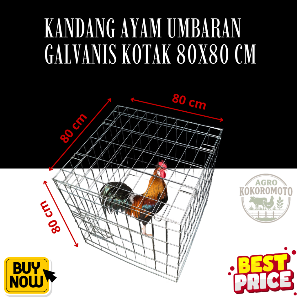 Kandang Ayam Umbaran Kotak 80x80x80 cm Tebal 3 mm – Extra Kokoh & Luas | Premium Quality untuk Ayam 