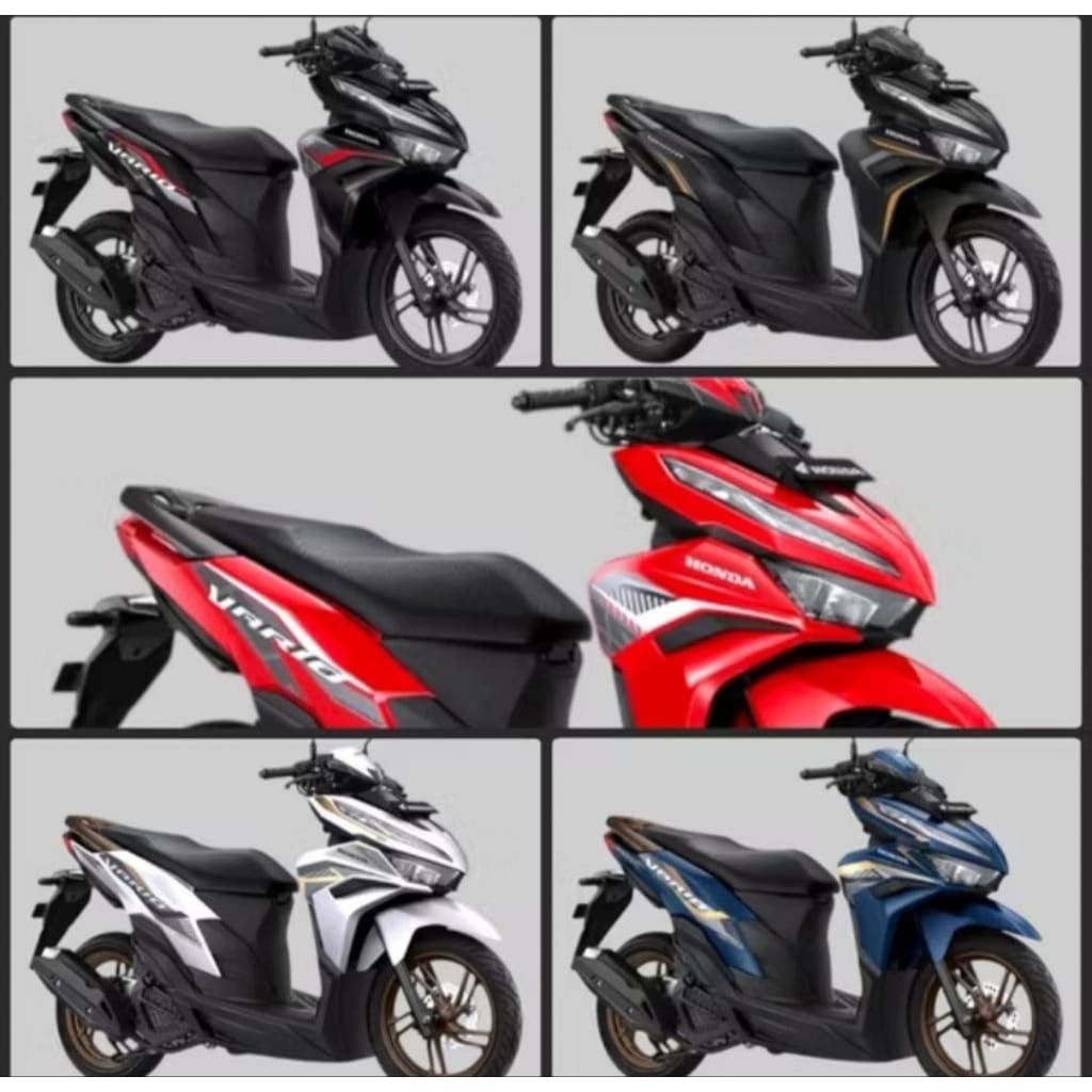 Striping Vario 2022