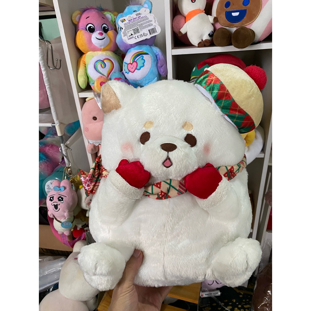 shiba sk japan besar