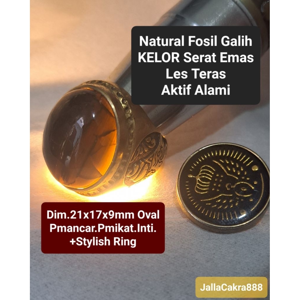 Natural Fsl GALIH KELOR Les Serat Emas Teras Sumatra Akt1f Alami Alam Teras Moringa Oleifera | Batu 