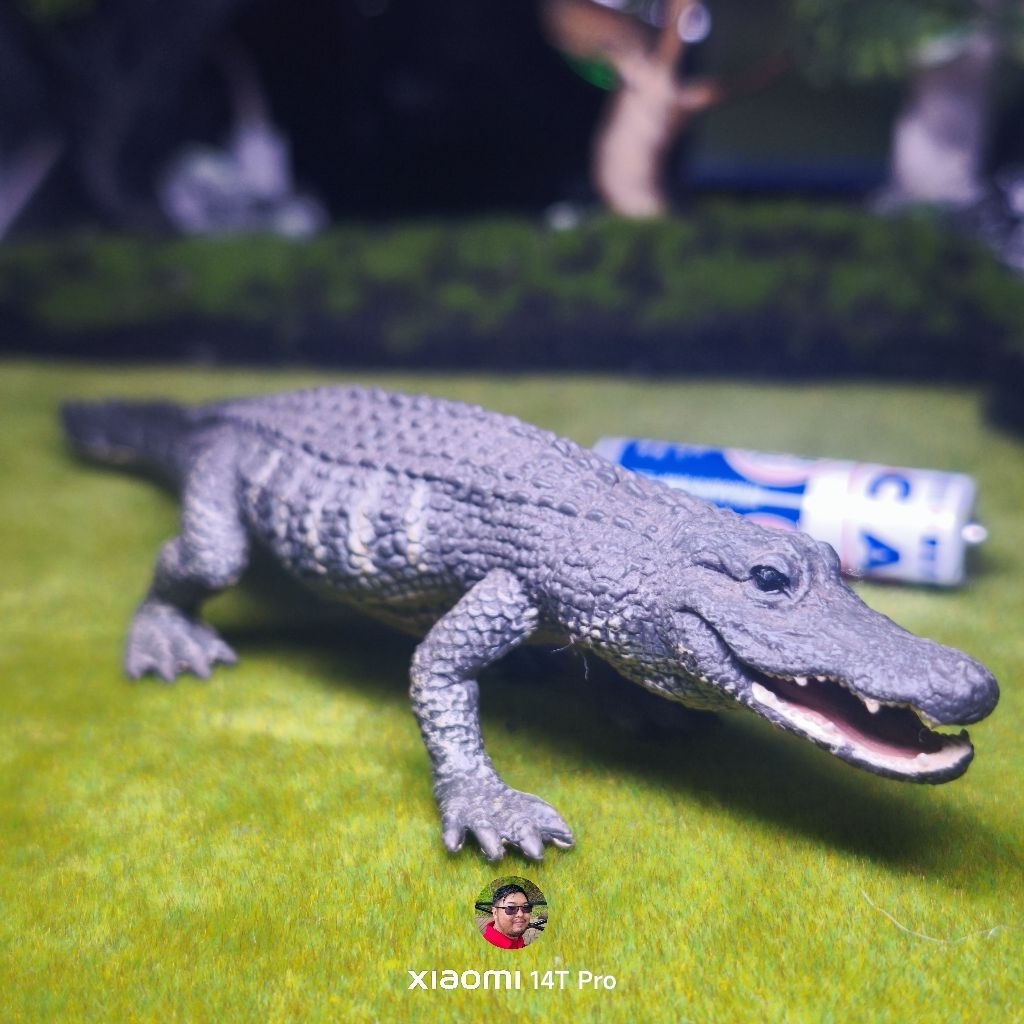 collecta alligator figure
