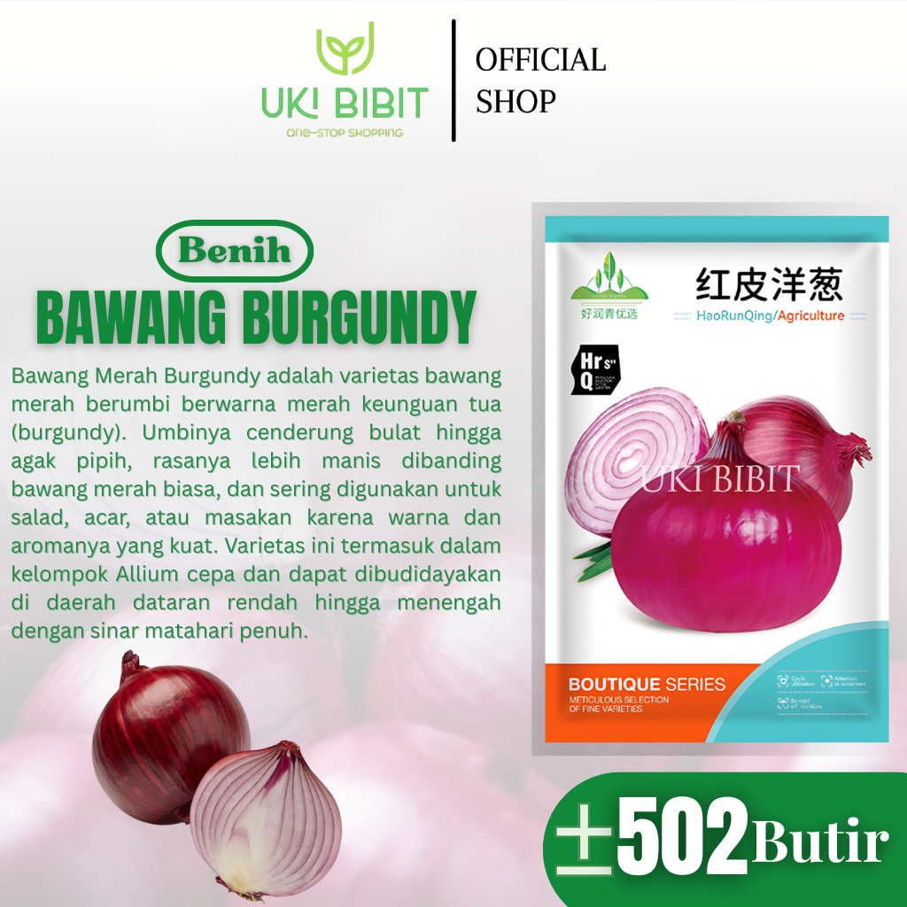 Kemasan Original | Benih Biji Bawang Merah Burgundy | Red Burgundy Onion | Bawang Bombay Merah