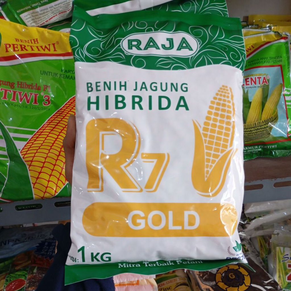 Jagung R7 GOLD 1Kg