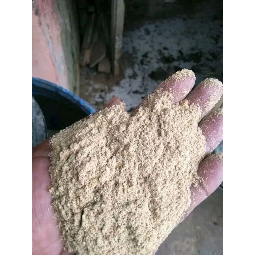 huut lembut dedek murni