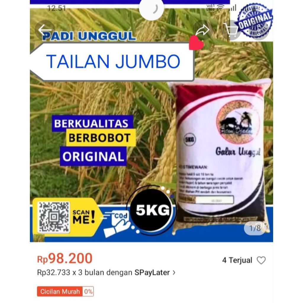 benih padi thailand jumbo 5kg