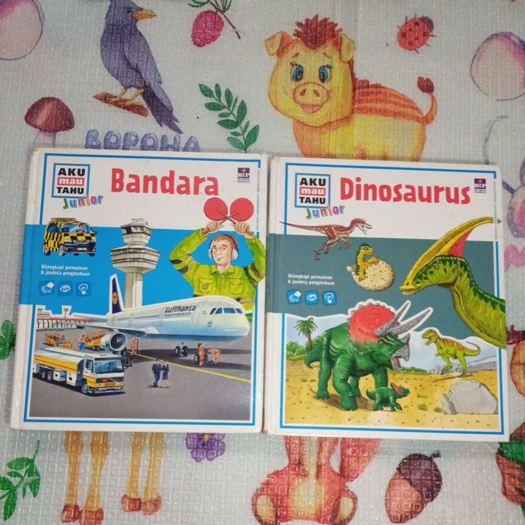 Buku Anak Aku Mau Tahu Junior - BIP