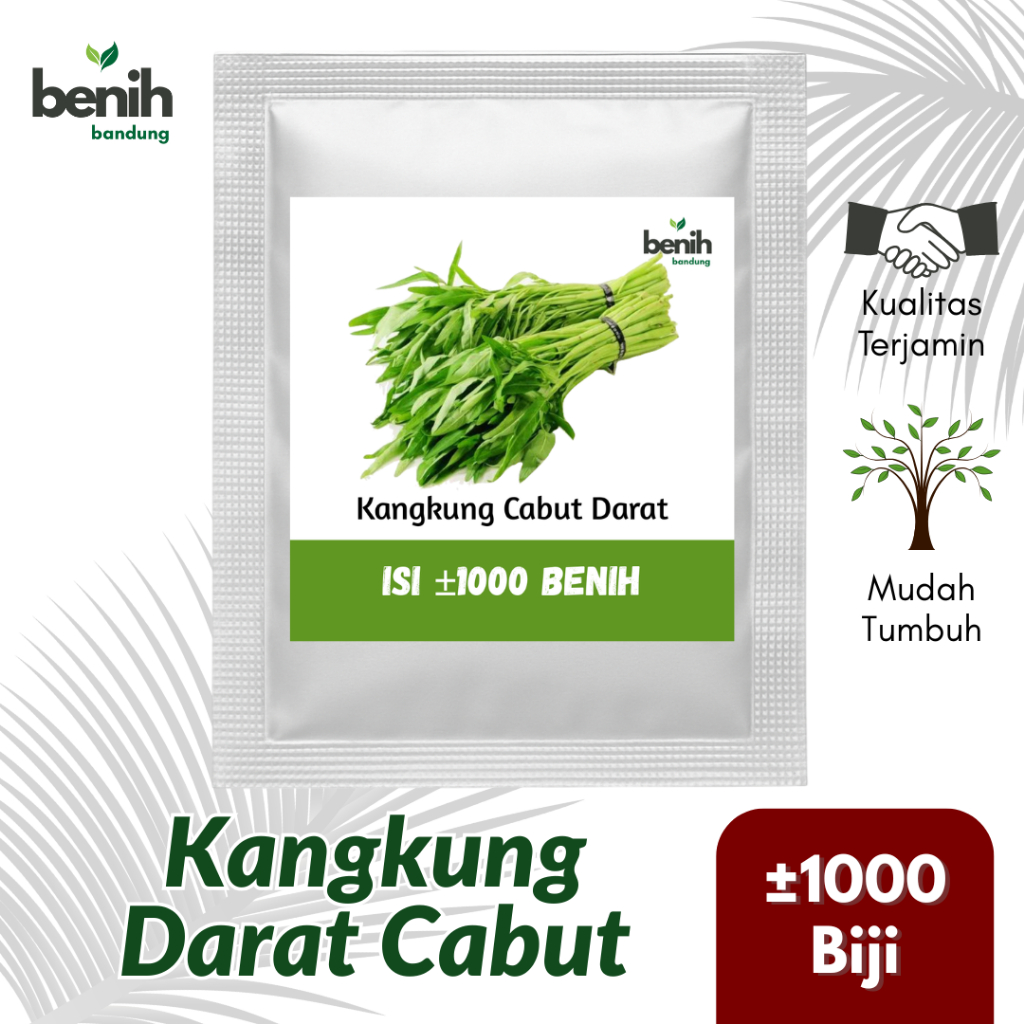 1000 Benih Kangkung Daun Lebar Bibit Sayuran Kangkung Darat