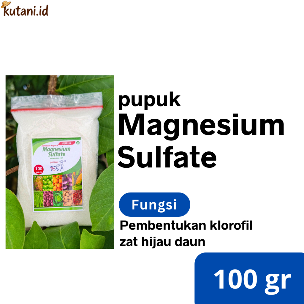 Pupuk Magnesium Sulfate Pak Tani 100 gram Meningkatkan zat hijau daun