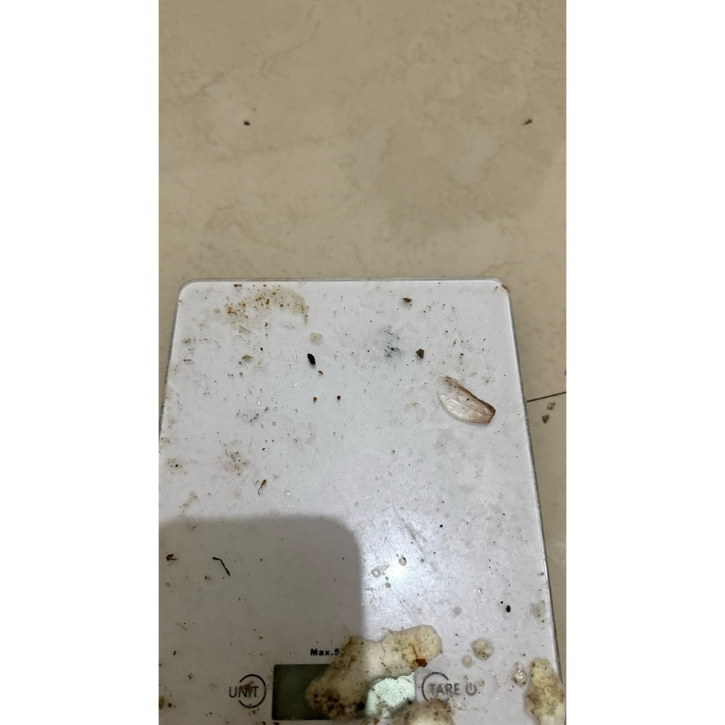 Digital pocket scale 00