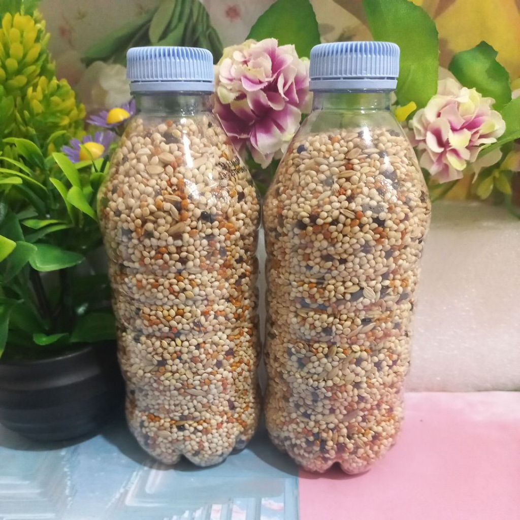 Pakan Burung Perkutut Berkualitas Pakan Perkutut