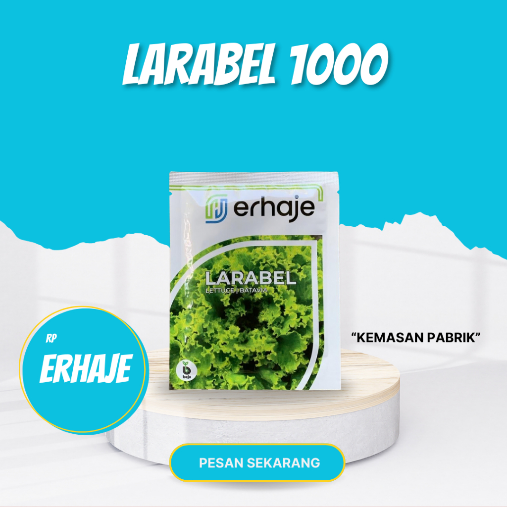 LARABEL bejo seed Benih selada batavia 1000 pills