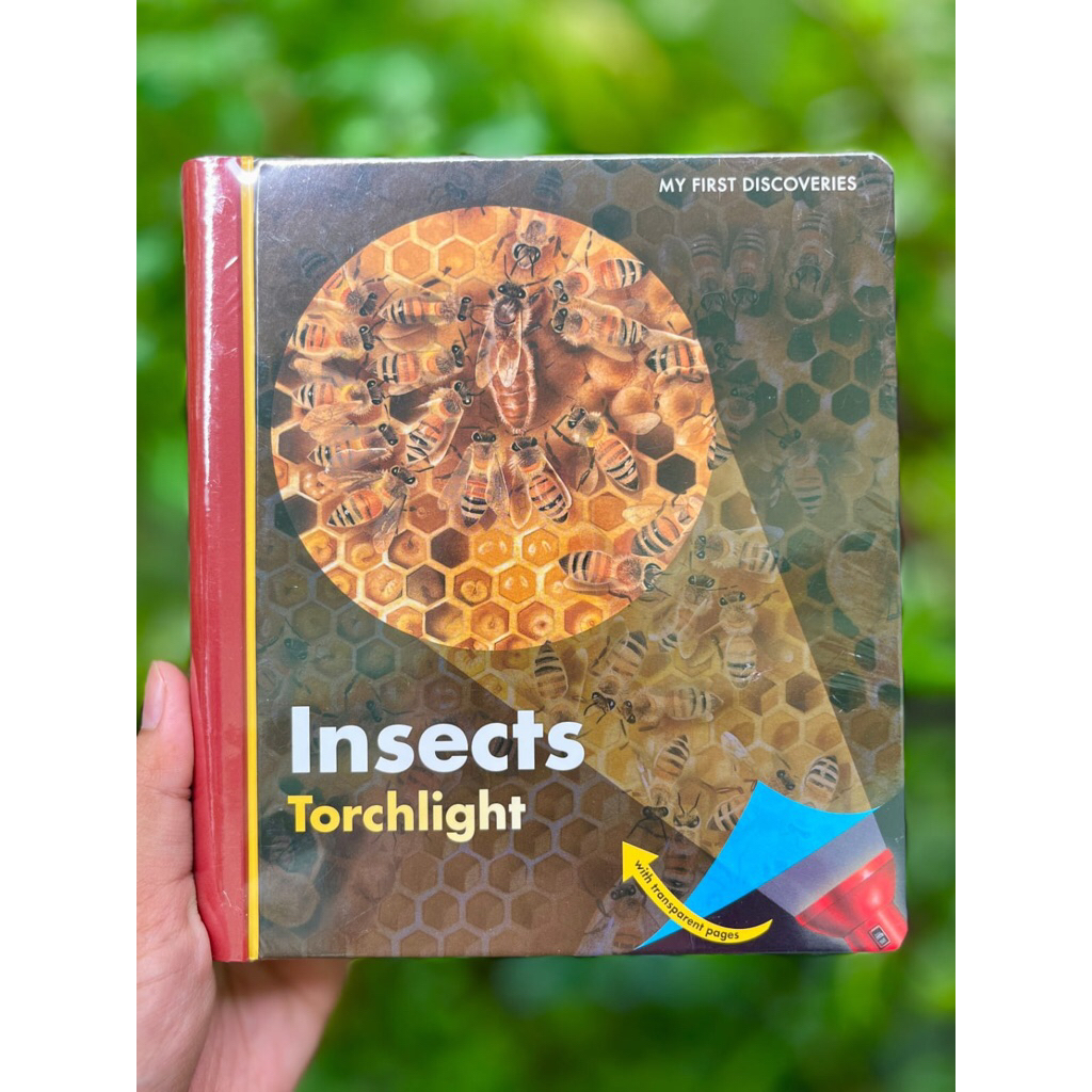 MFD Insects torchlight