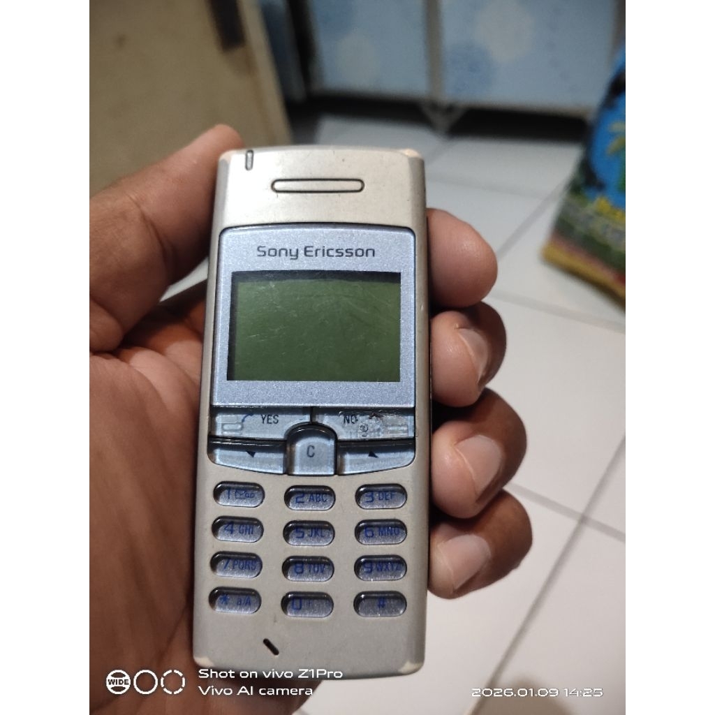 Sony Ericsson T100