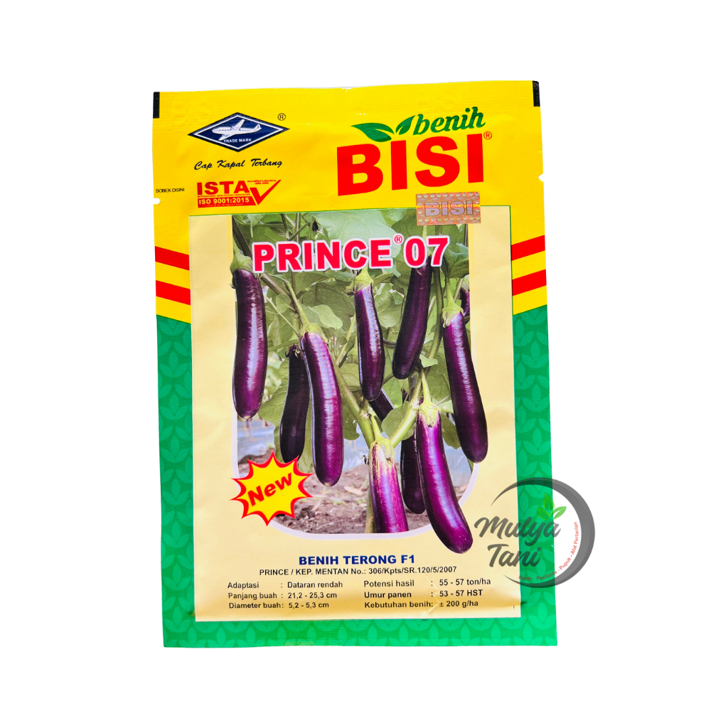 BENIH BIBIT TERONG NEW PRINCE 07 - 10 GRAM TERONG UNGU CAP KAPAL TERBANG PRINCE EPA