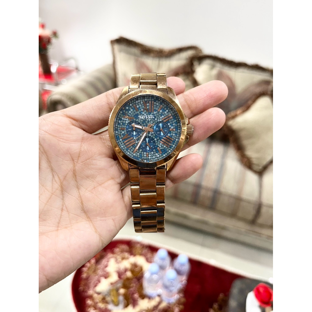Pl Jam fossil ori