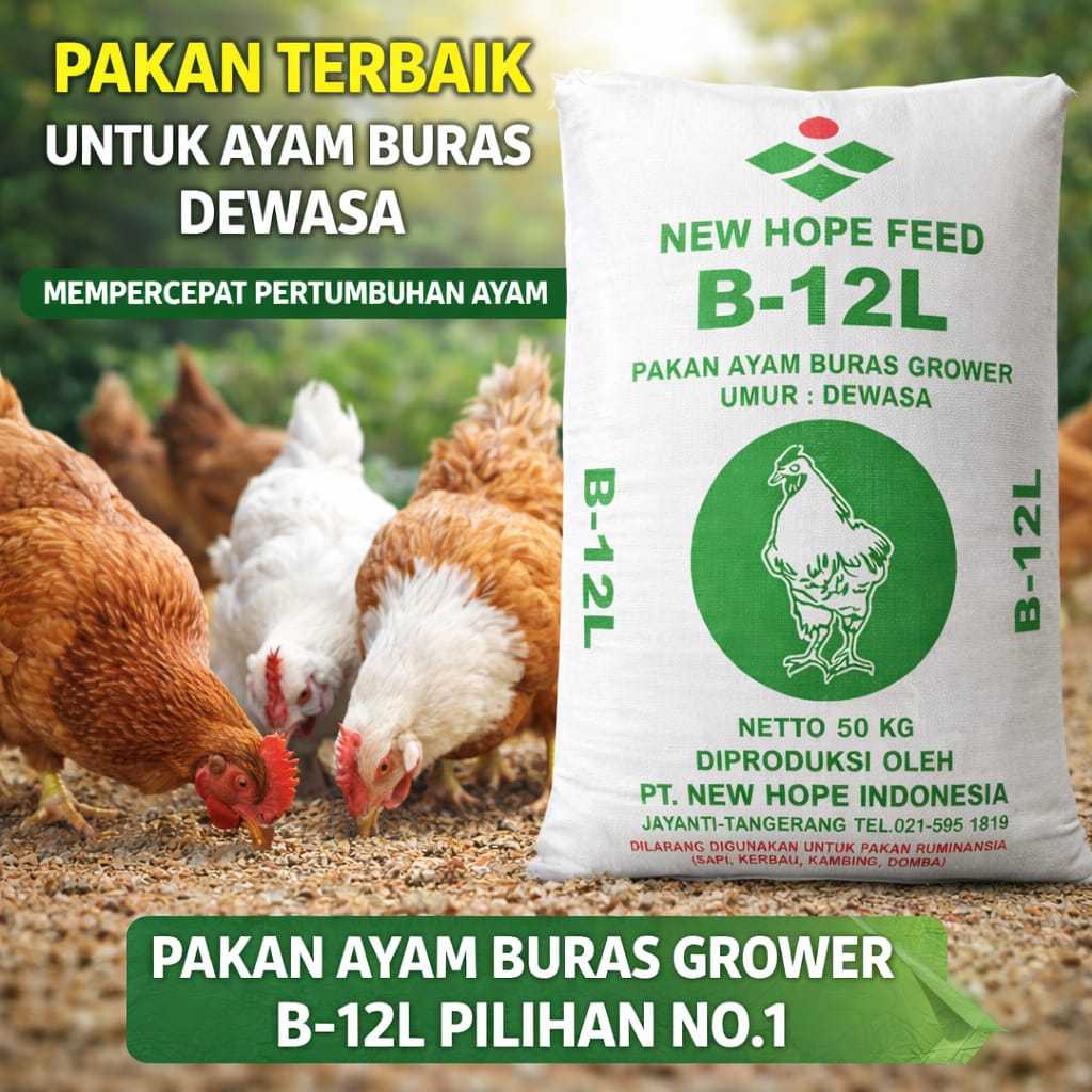 Pur Pakan Ayam Buras Isi 3 Pak Kemasan 1 Kg B12L Pakan Ayam Buras New Hoope Peed