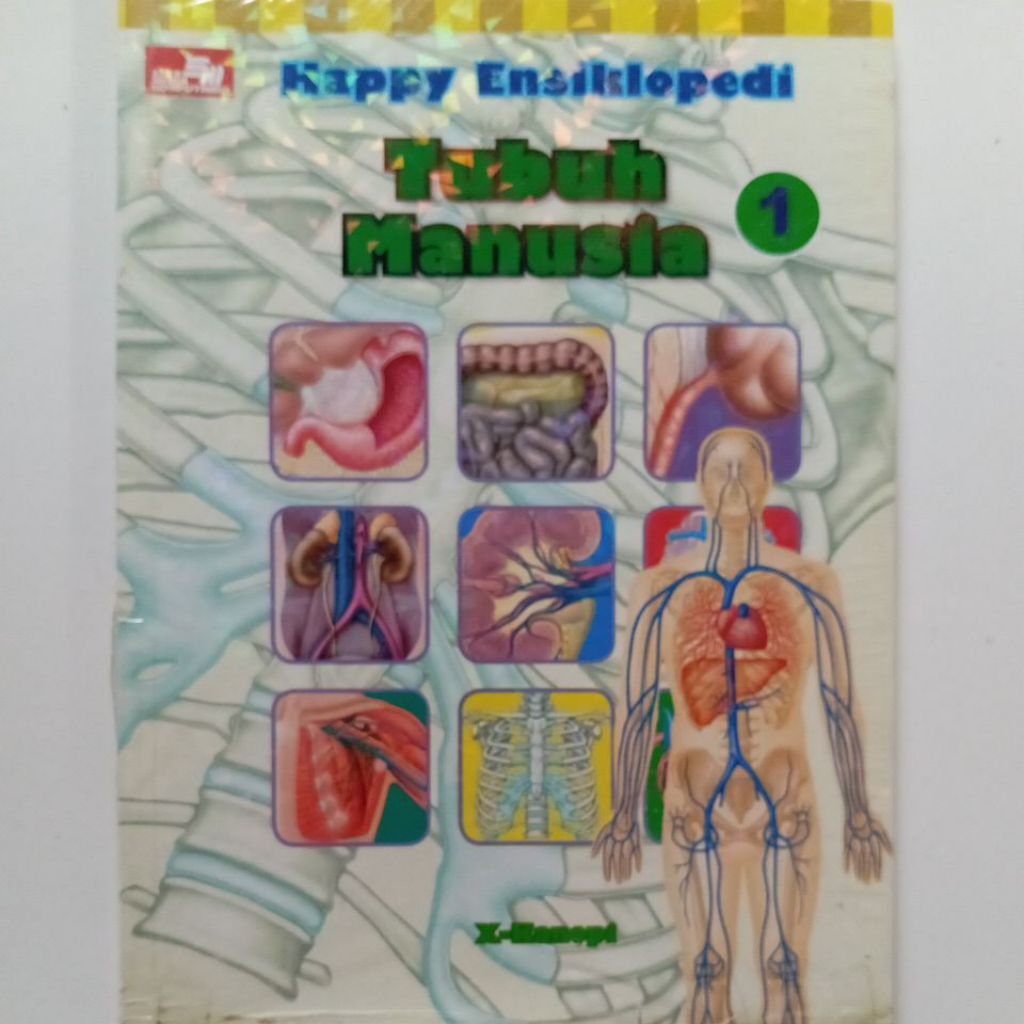 Buku Pengetahuan " Happy Ensiklopedi Tubuh Manusia 1 "