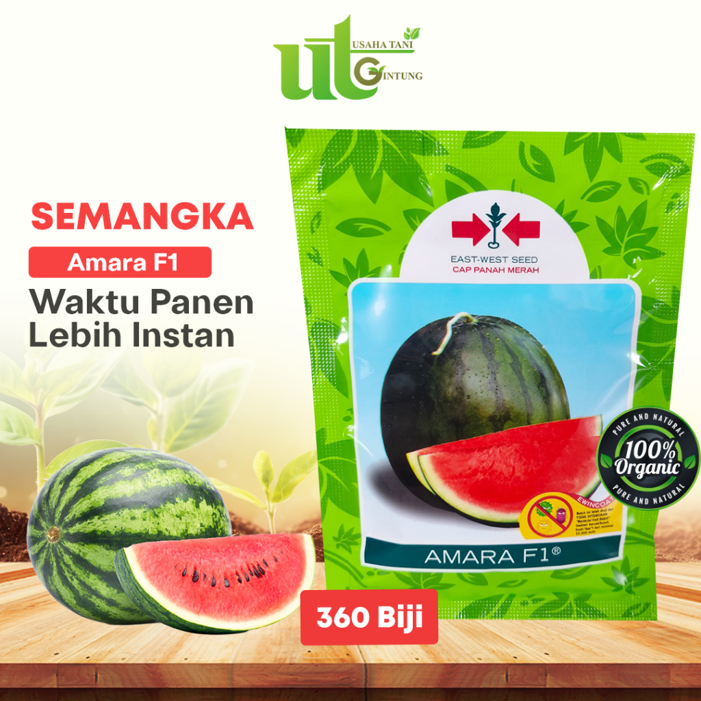 SEMANGKA Amara F1 (360 BIJI)
