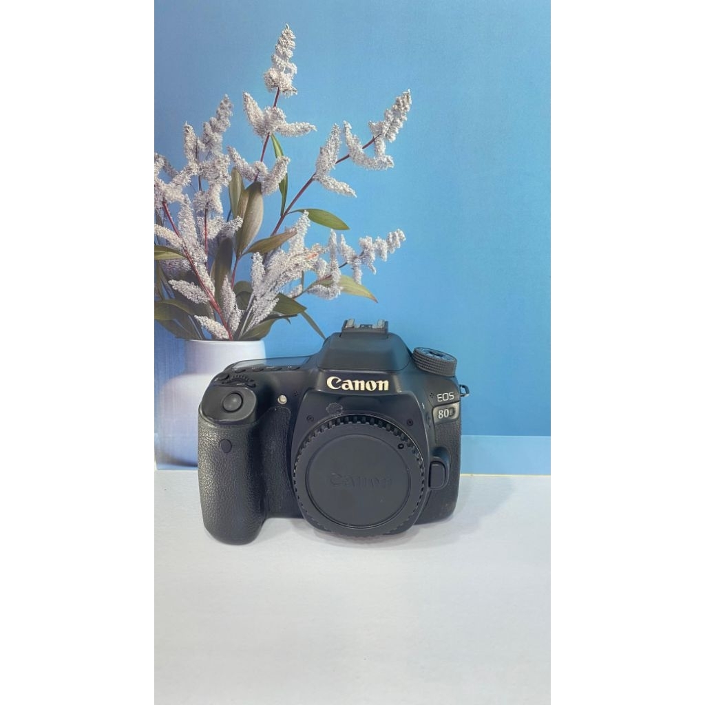 ready kamera DSLR Canon 80d siap pakai