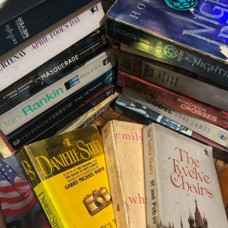 [SERBA 20RB] Novel English Original [BEKAS] - Twilight, The Twelve Chairs, Dll