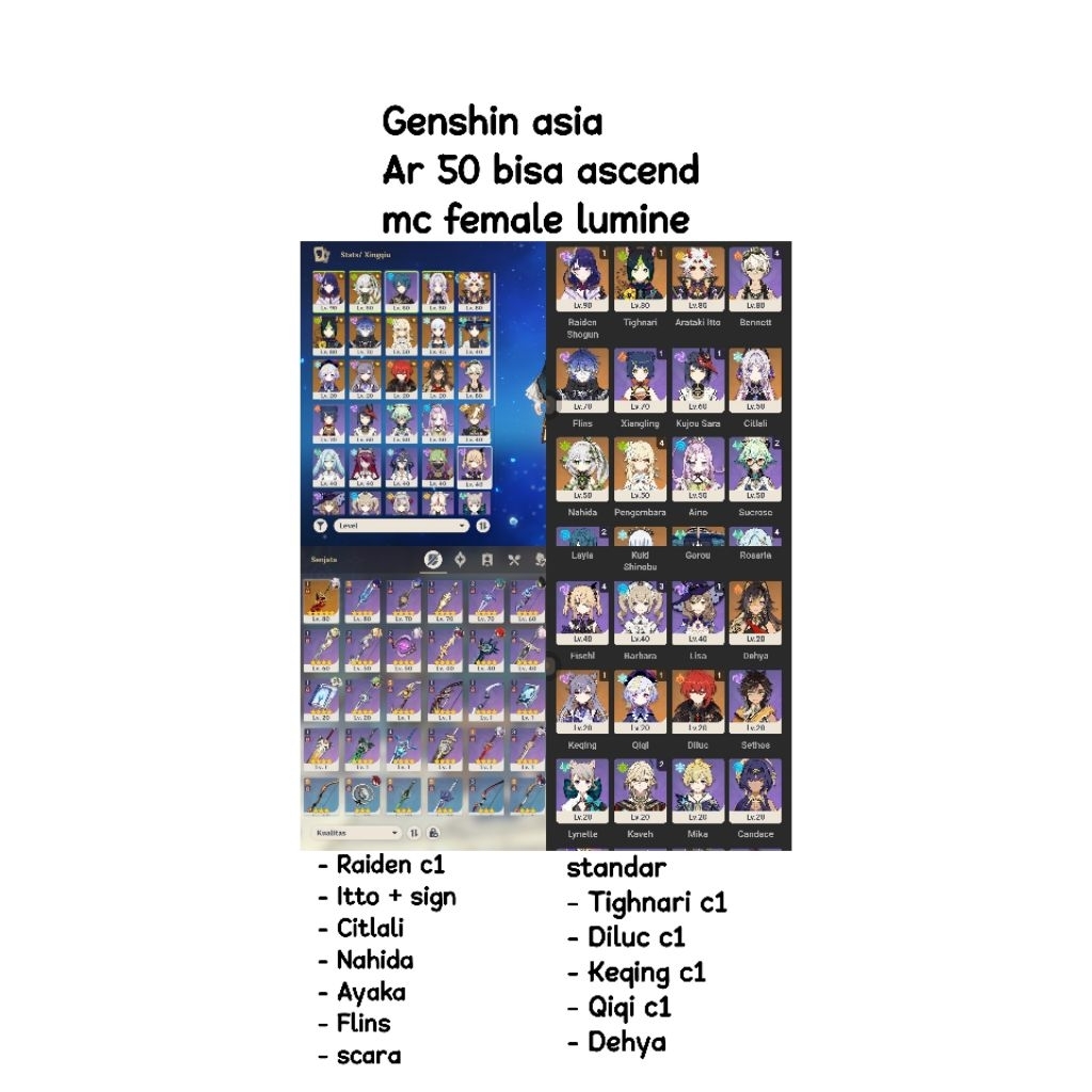 Poster akun Genshin Impact Lumine