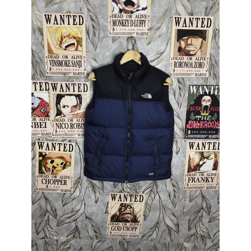 The north face 1996 retro nuptse vest