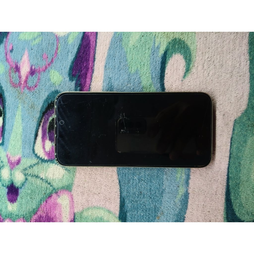 aipon cina mulus mati