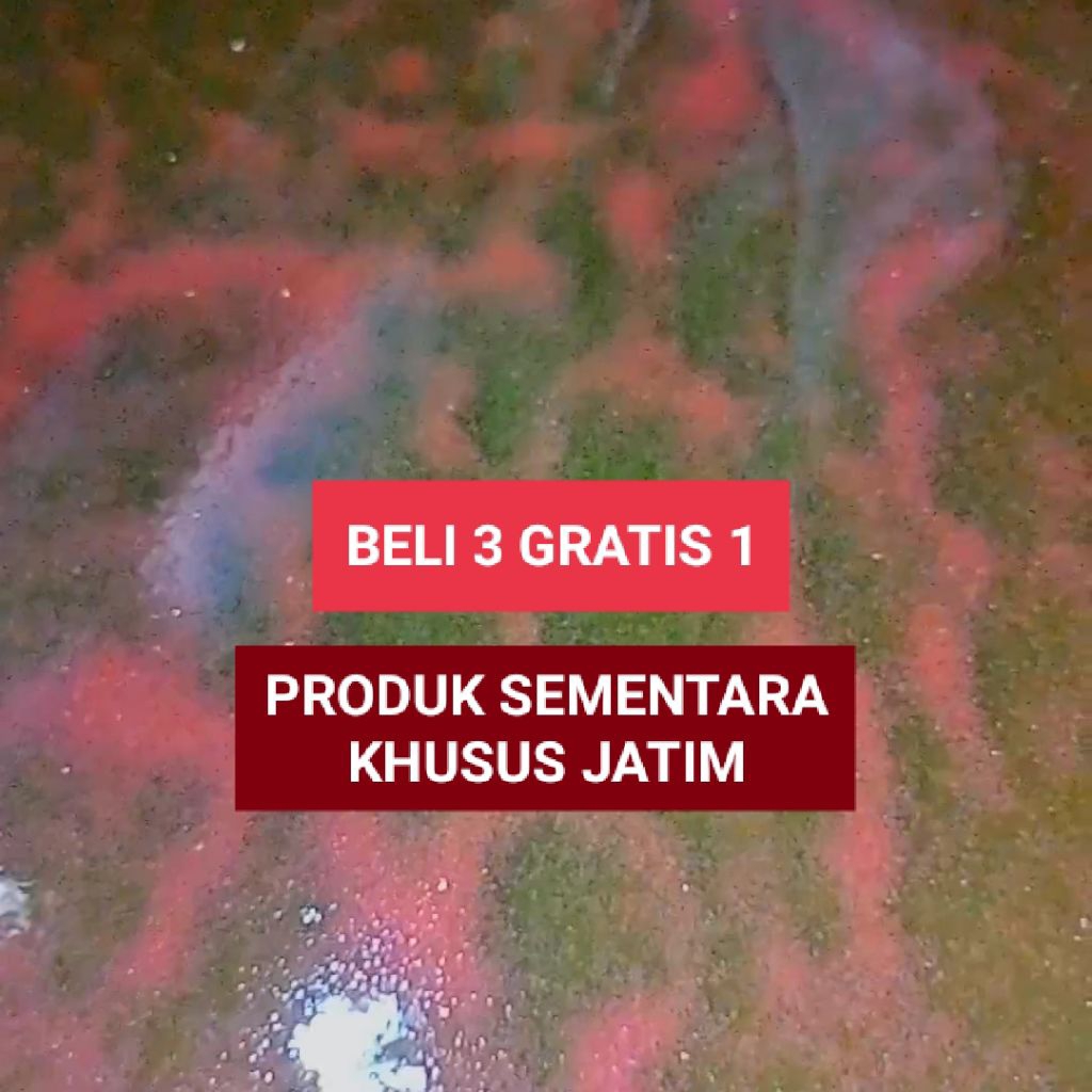 kutu air moina / starter kutu air moina