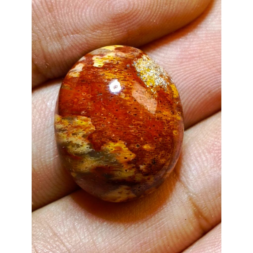 Batu akik Galih kelor merah emas rare TopHQ