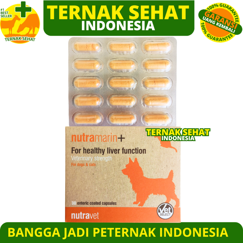 NUTRAMARIN PLUS 15 KAPSUL 1 BLISTER - Obat Gangguan Liver Kucing Anjing Dukung Fungsi Hati Maksimal