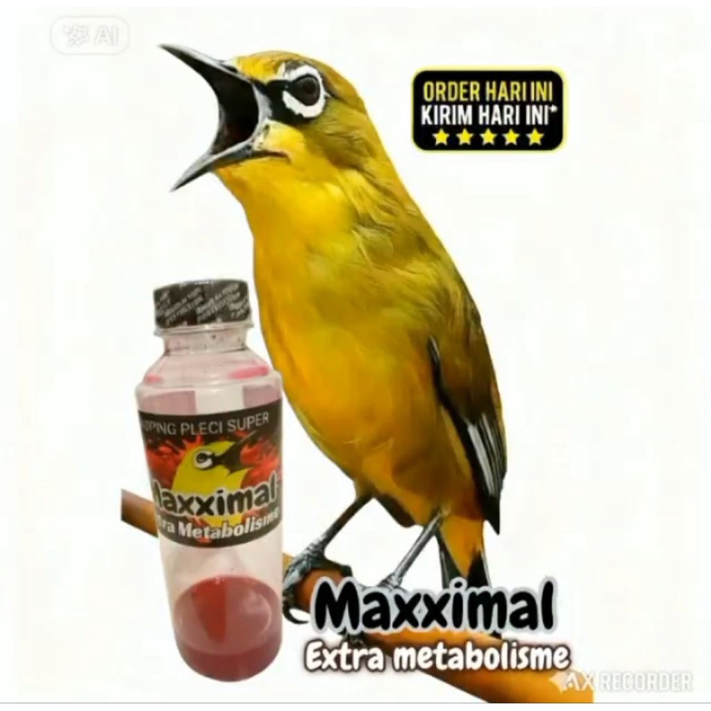 promo(beli 1 gratis 1)penggacor dan doping pleci kolibri agar buka paruh TERBUKTI AMPUH