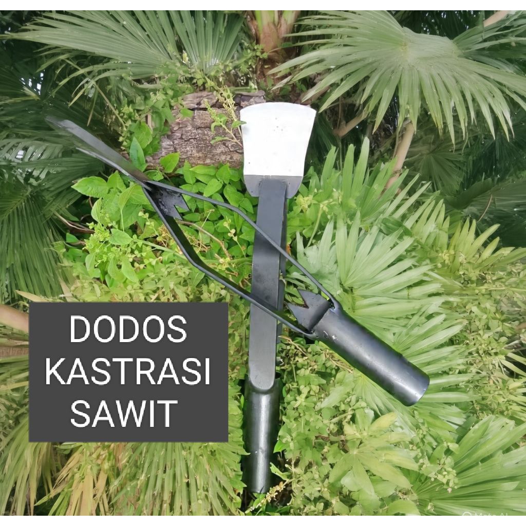 ALAT DODOS KASTRASI SAWIT ,, PISAU CACAH RUMPUT