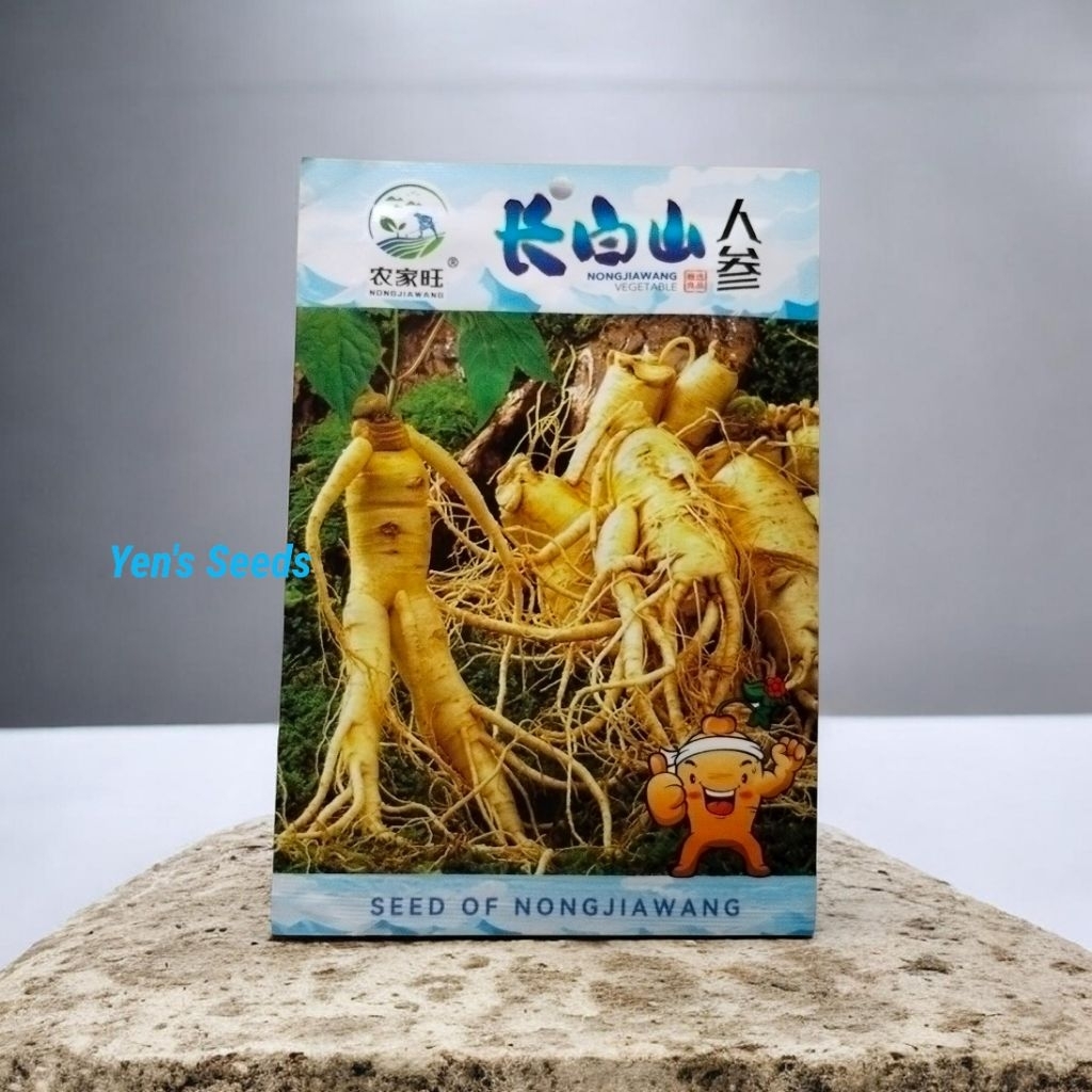 Kemasan Import/Benih Ginseng Korea ( 50 Butir )