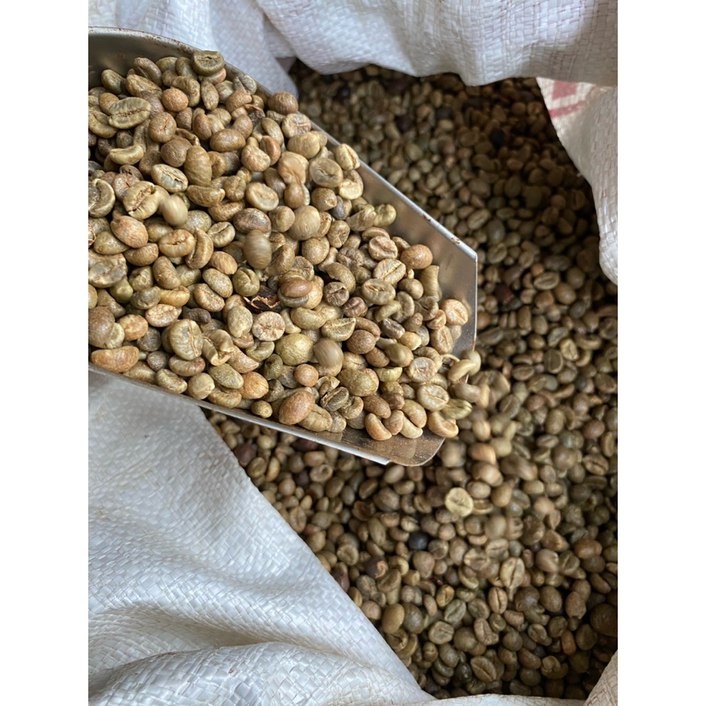 Greenben Robusta 1 Kg &1/2 Kg Biji Kopi Java Biji Kopi Pahit Biji Kecil Robusta Mentah Biji Kopi Rob
