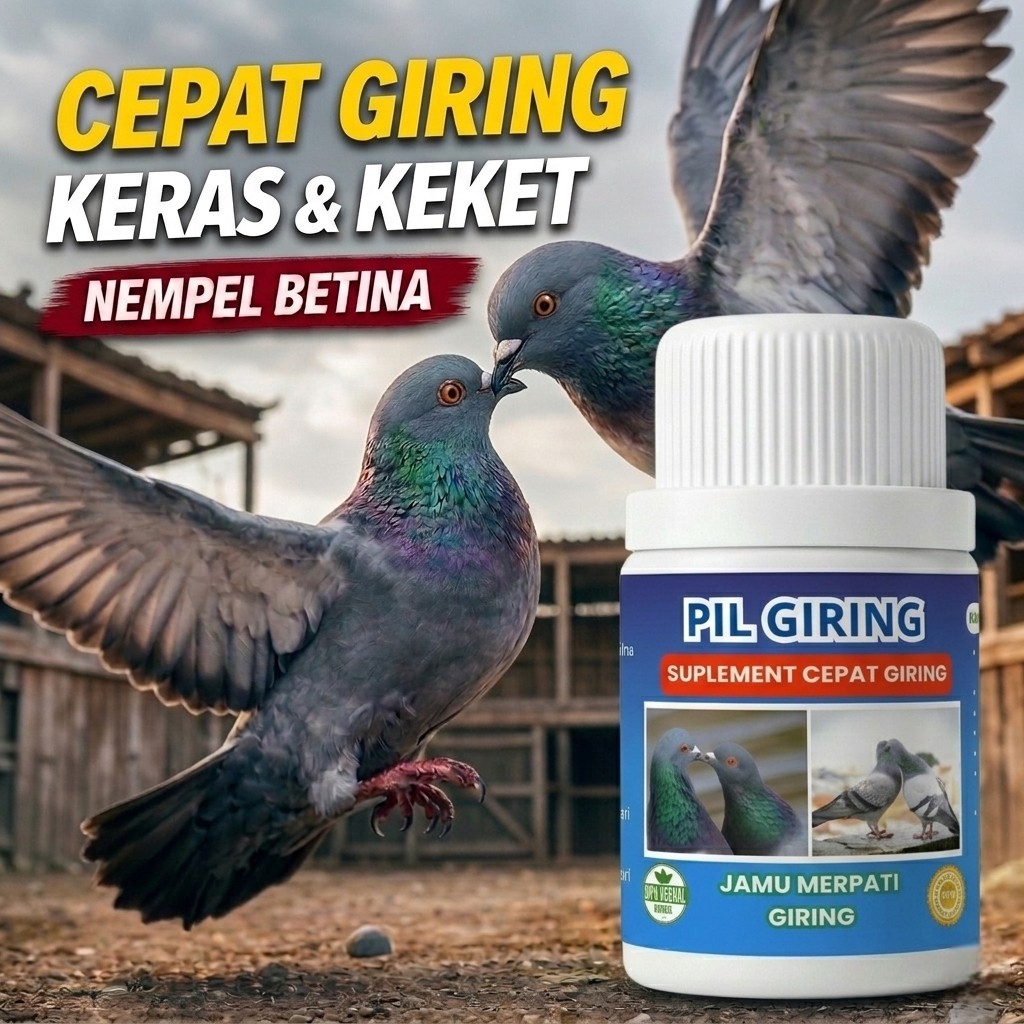 Jamu Merpati Giring Keket Keras Obat Macet Giring Penambah Birahi Burung Dara Nempel Betina 100 Pil 