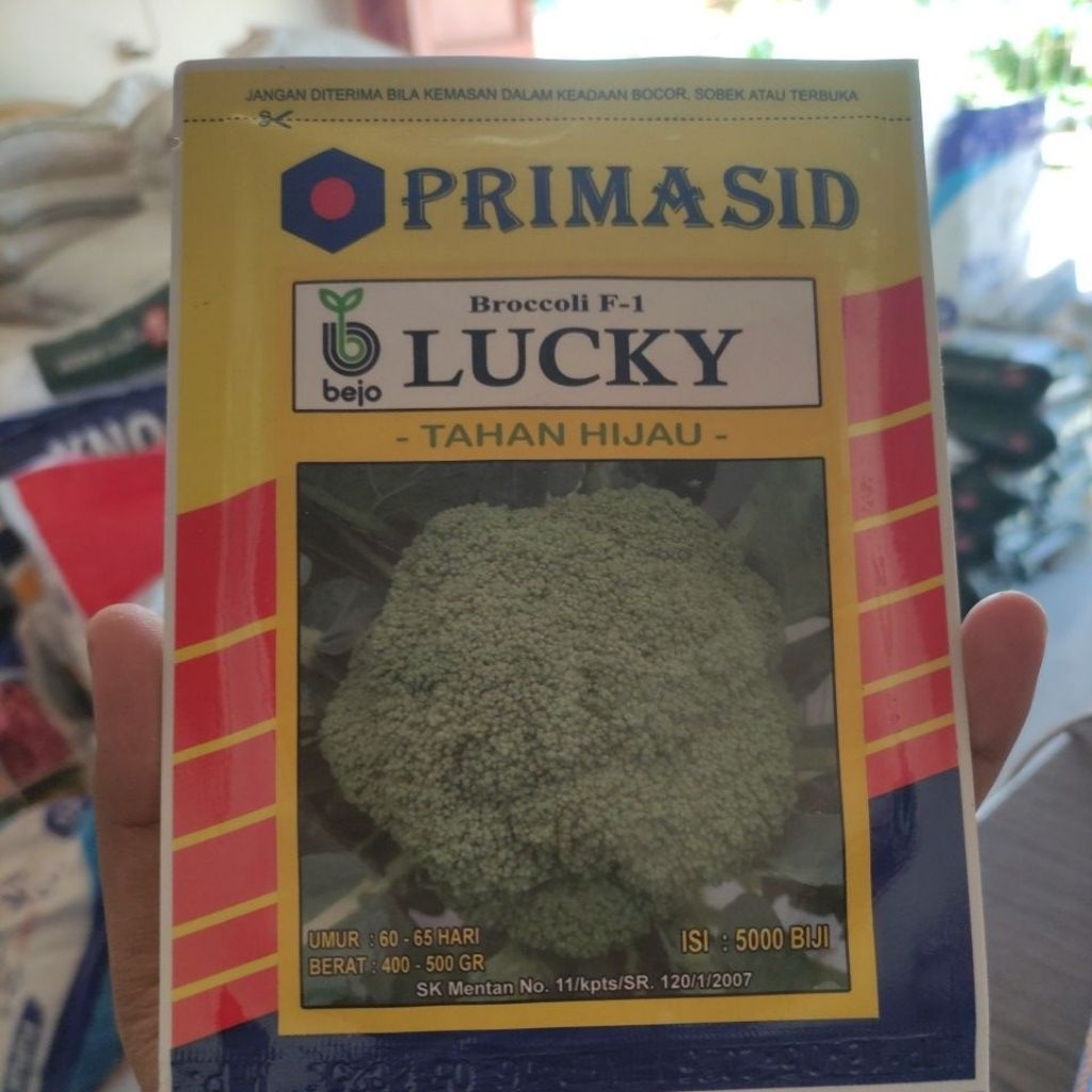 BIBIT BROKOLI BEJO 5000 BIJI