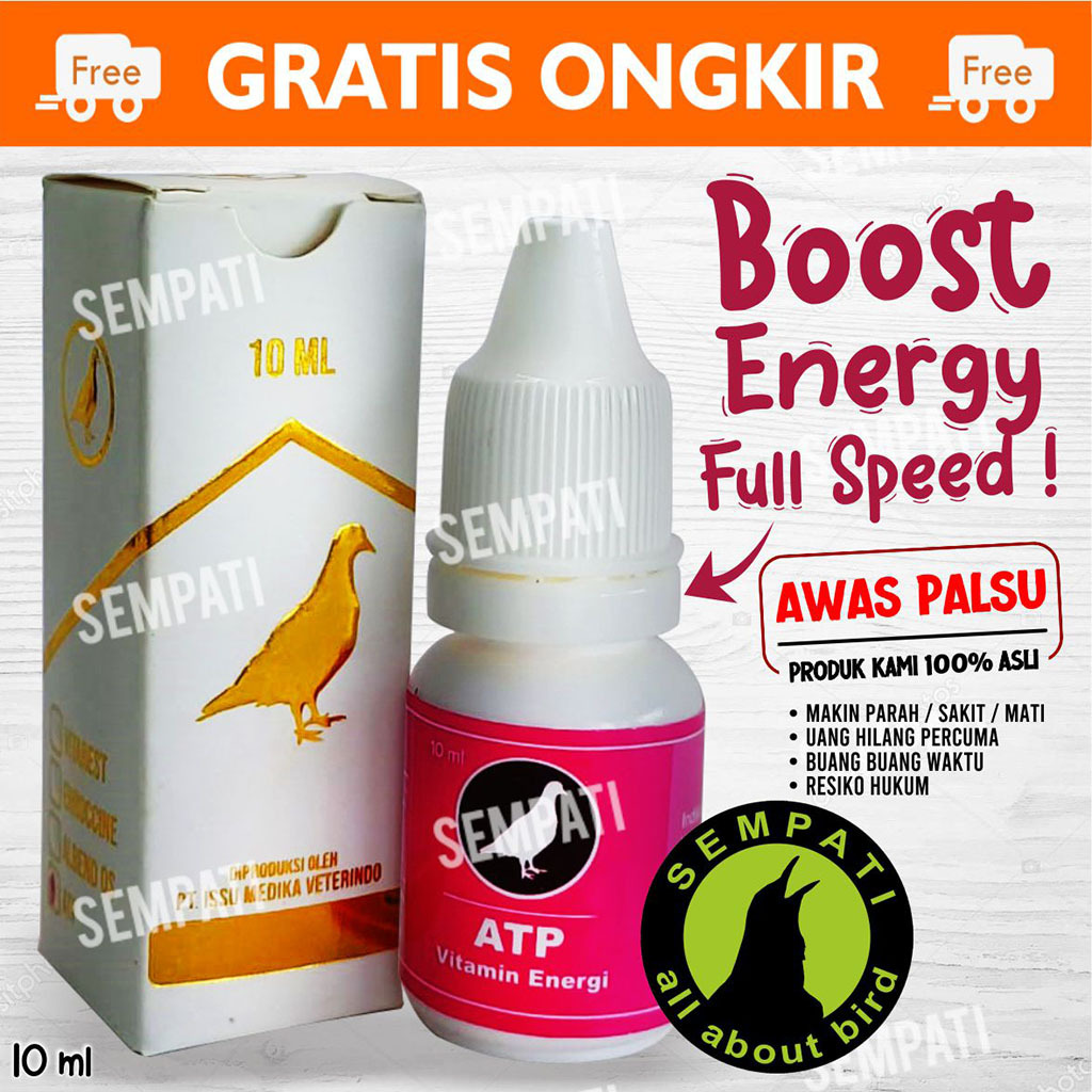 SEMPATI VITAMIN MERPATI ATP VITAREST DOPING MERPATI BOOSTER MERPATI MULTIVITAMIN OBAT JAMU MERPATI D