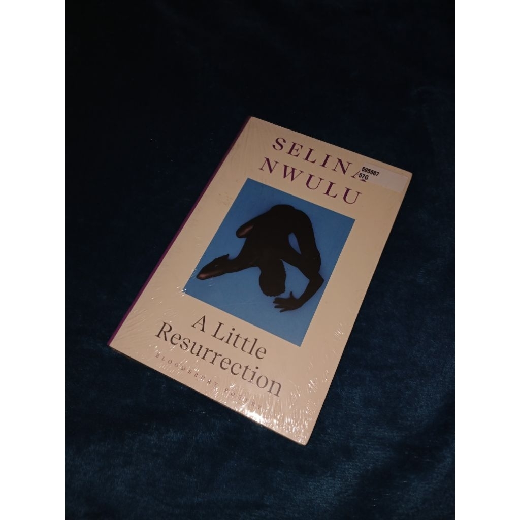 A Little Ressurection by Selina Nwulu (Novel English Original Import)