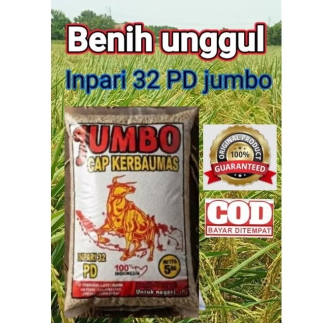 Bibit Benih Padi Inpari 32 PD jumbo Berkualitas Super Kemasan 5Kg