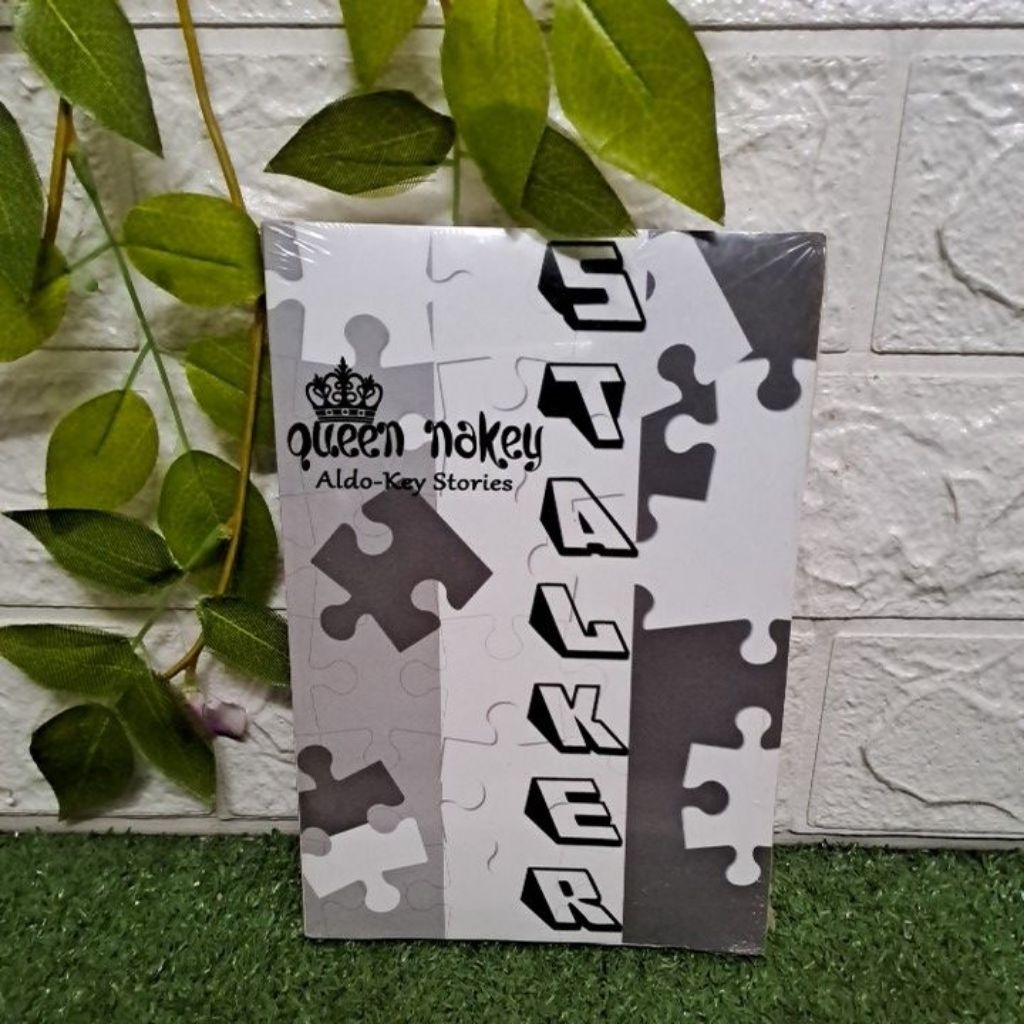 NOVEL STALKER by Queen Nakey