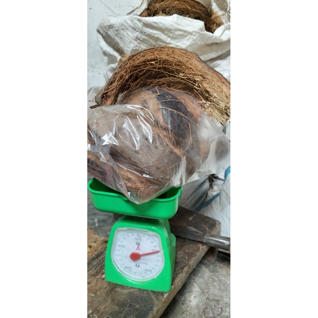 Serabut kelapa 1kg