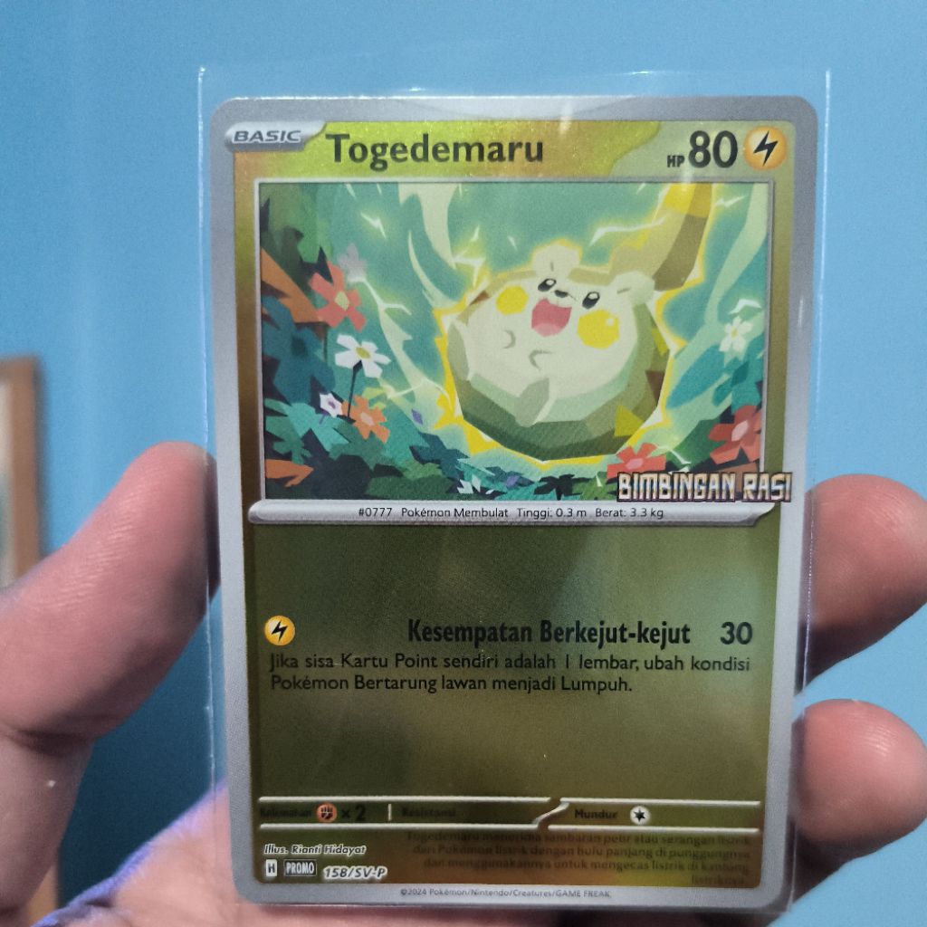 Togedemaru bimbingan rasi