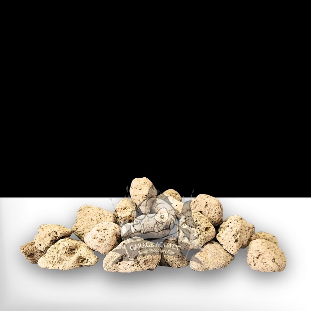 PUMICE STONE BATU APUNG FILTER MEDIA AQUARIUM KOLAM