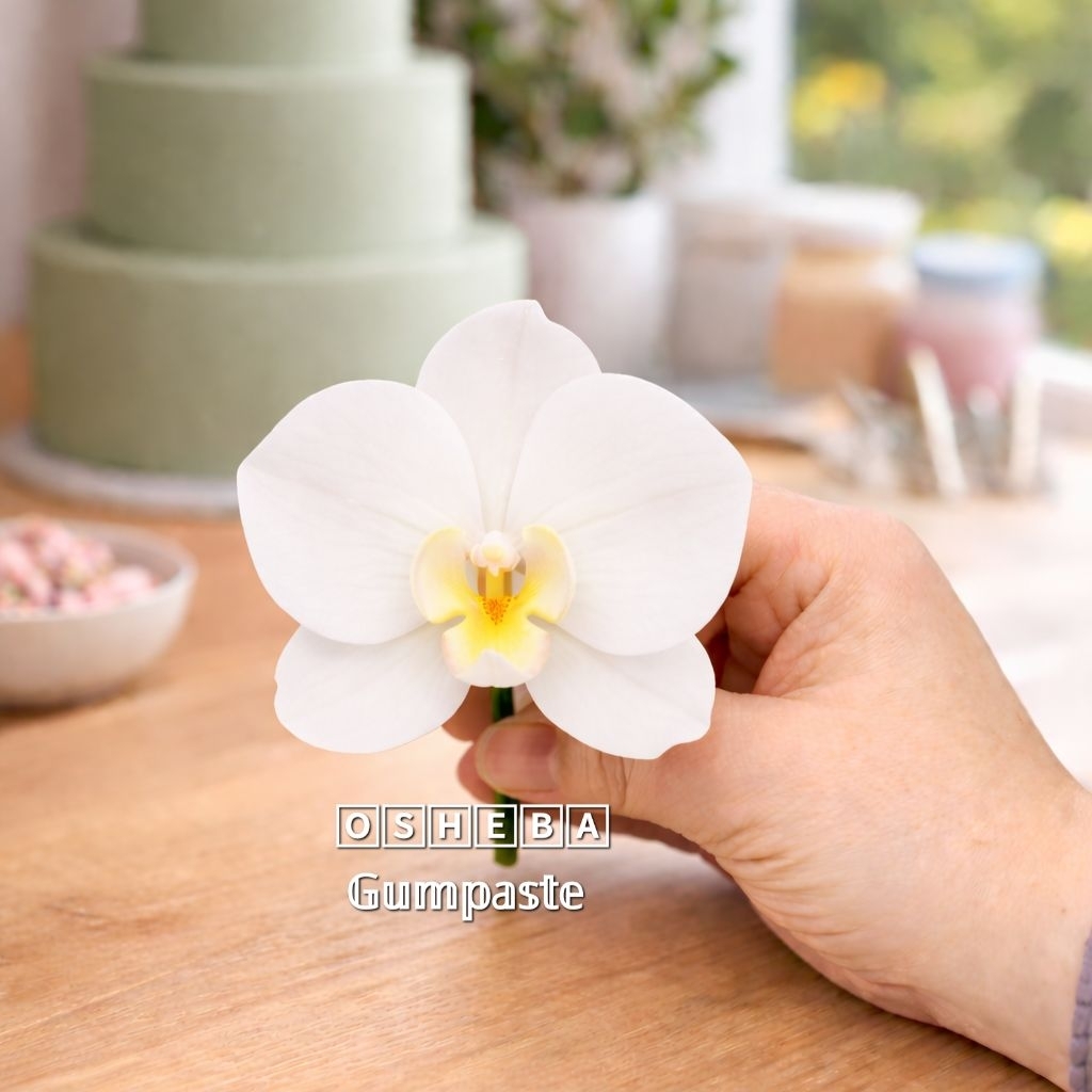 [osheba] gumpaste bunga bs anggrek bulan MOTH 11 warna putih