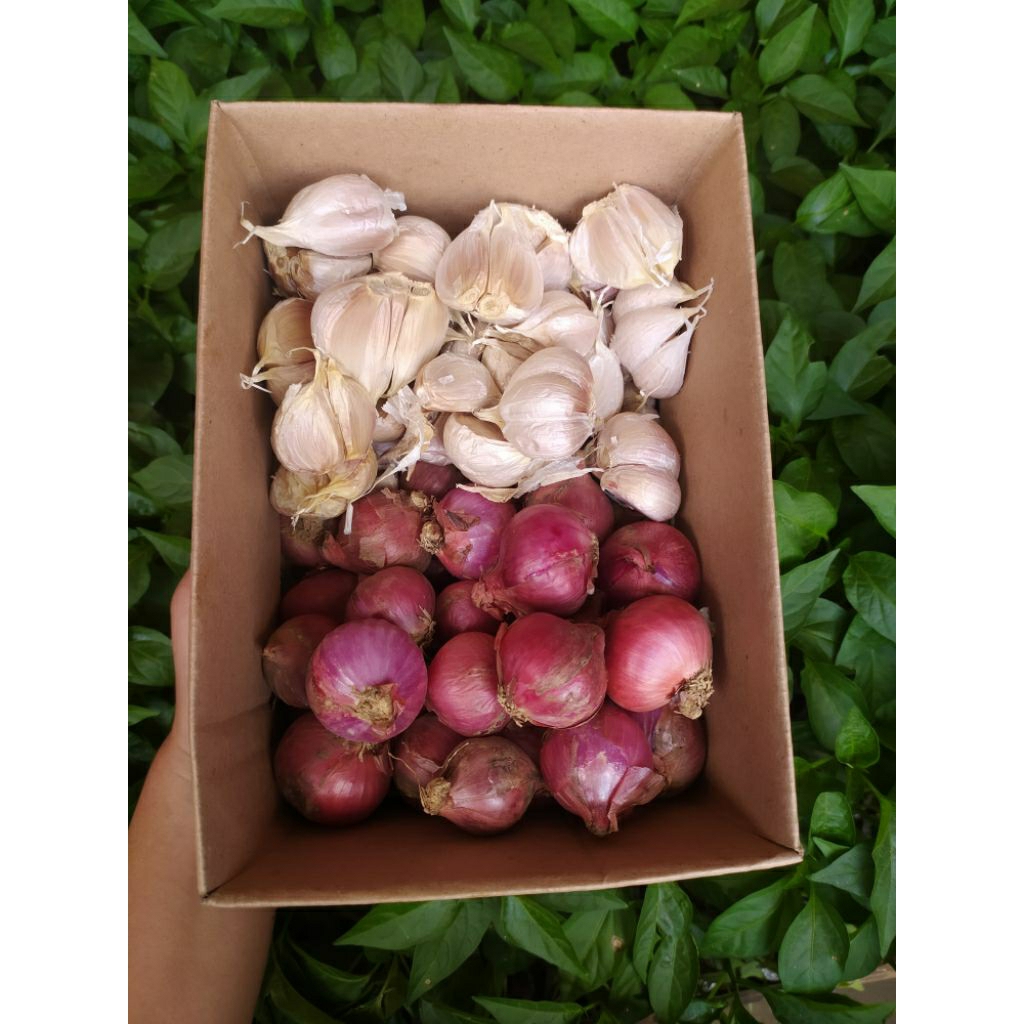 Bawang Merah campur Bawang putih 1 kg