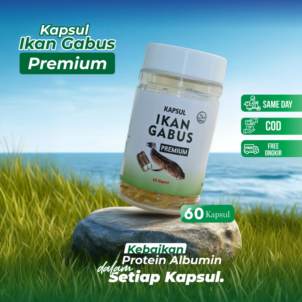 Kapsul Ikan Gabus Premium Channa striata Oil 60 kapsul