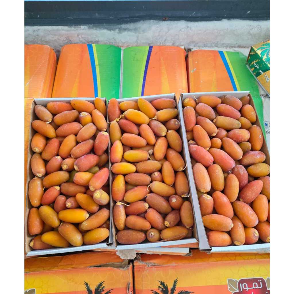 Kurma Muda Ruthob Libya Selected Dates Original 1kg