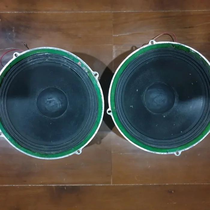 Speaker 12 Inch Vintage Sound System Audio